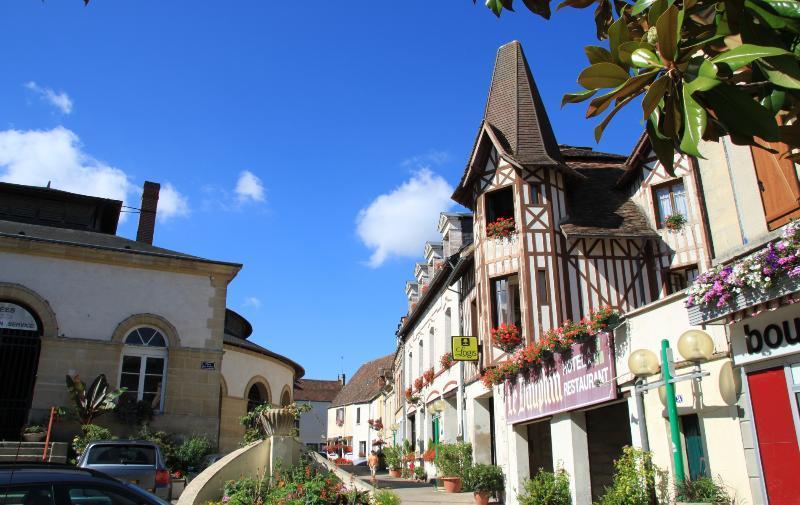 Logis Hotel Et Restaurant Du Dauphin Sées Екстериор снимка